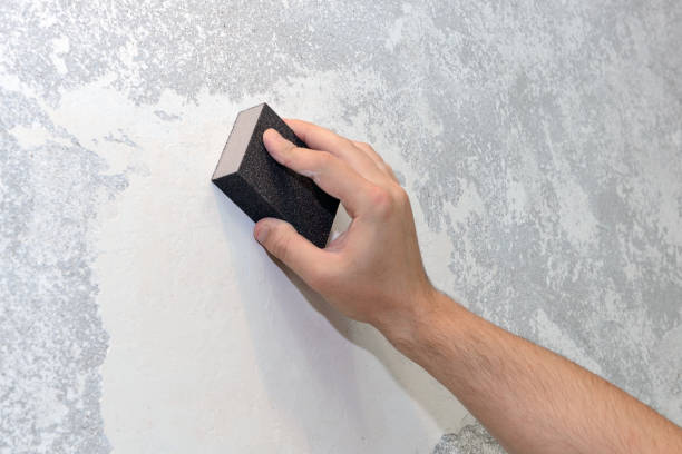 Best Crawl Space Mold Remediation  in Jackson, AL
