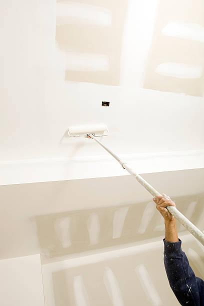 Best Water Damage & Mold Remediation  in Jackson, AL