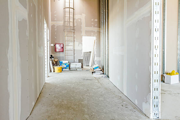 Best HVAC Mold Inspection and Cleaning  in Jackson, AL