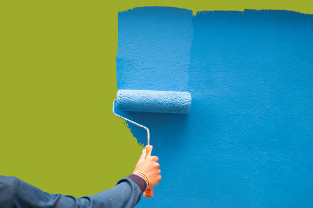 Best Mold Documentation for Insurance Claims  in Jackson, AL